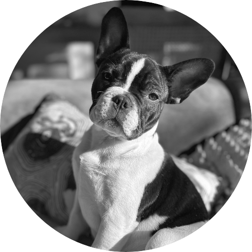 Cours Centre de yoga Vannes hypercentre cours de yoga débutant studio yoga vannes vinyasa hatha yog house – Location bureau Vannes massage bien-être soins spa location bureau cabinet vannes coworking neuroatypie tdah hpi