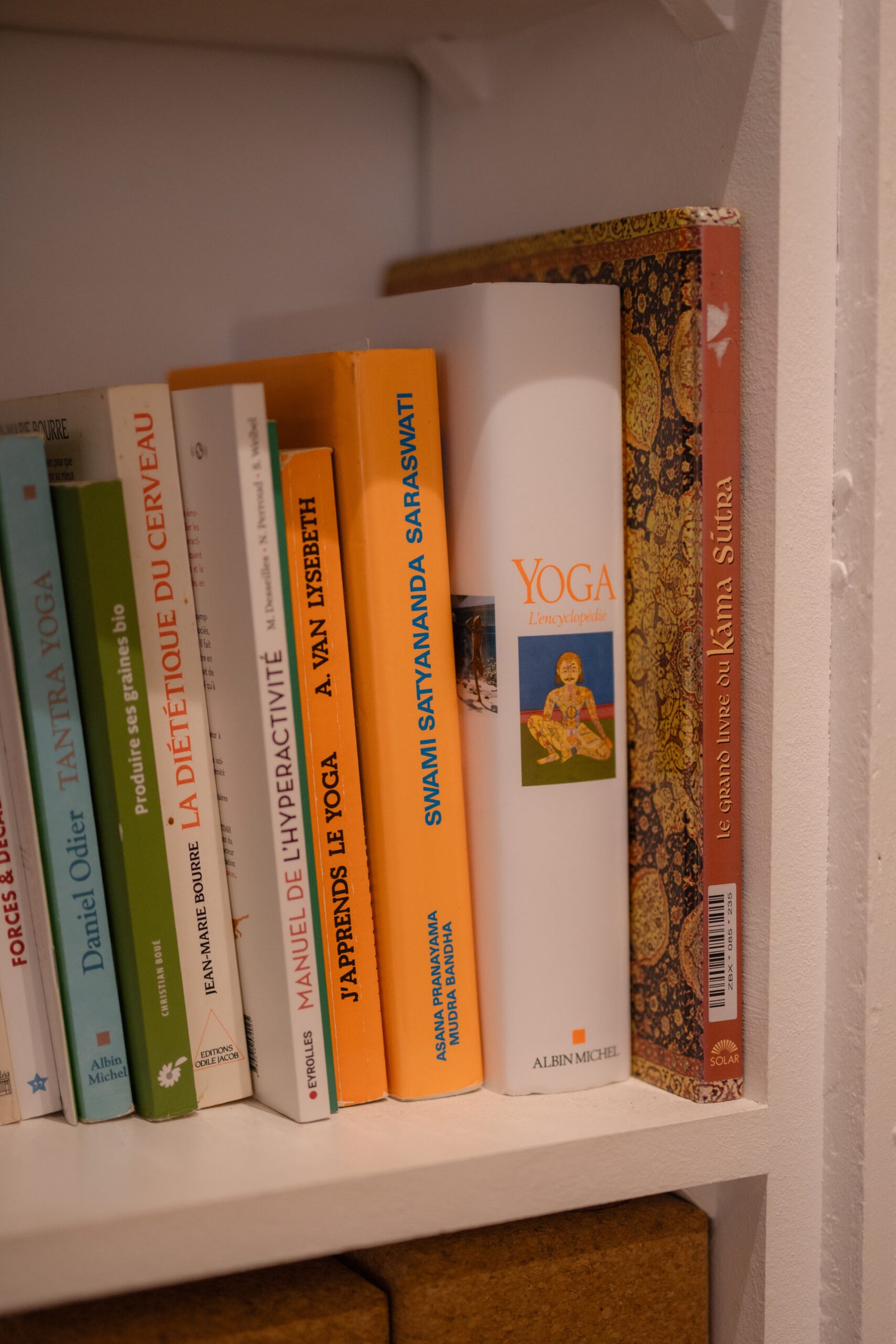 Cours Centre de yoga Vannes hypercentre cours de yoga débutant studio yoga vannes vinyasa hatha yog house – Location bureau Vannes massage bien-être soins spa location bureau cabinet vannes coworking neuroatypie tdah hpi