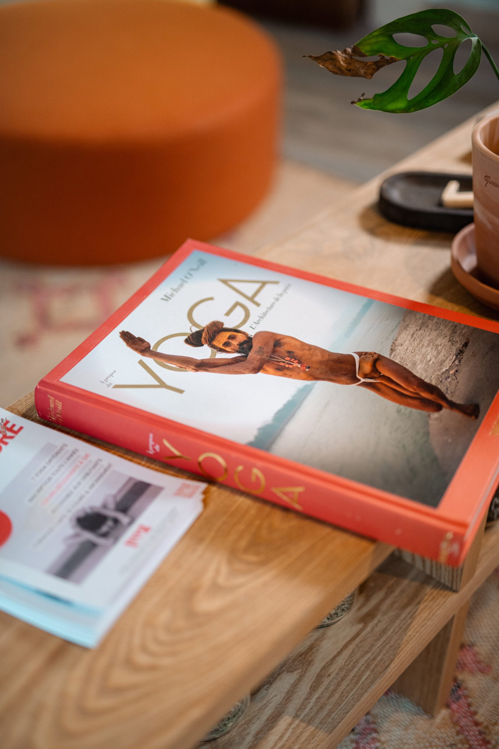 Cours Centre de yoga Vannes hypercentre cours de yoga débutant studio yoga vannes vinyasa hatha yog house – Location bureau Vannes massage bien-être soins spa location bureau cabinet vannes coworking neuroatypie tdah hpi